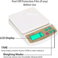 SF 400A Weight Machine 10kg 