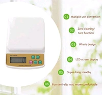 SF 400A Weight Machine 10kg 