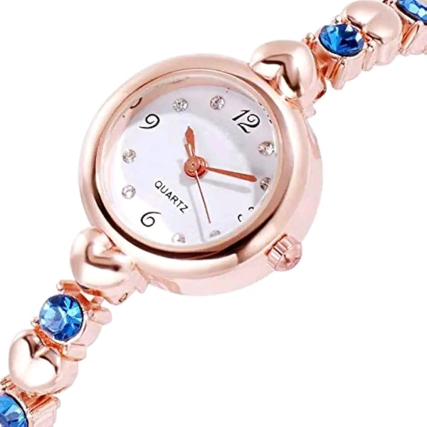 Ladies Watch (1)