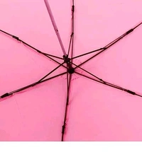 Rose Bottle Umbrella 