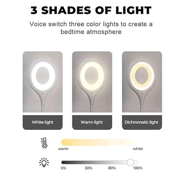 Voice Lamp 