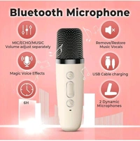 WS858  karaoke sound system  