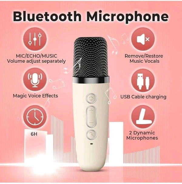 WS858  karaoke sound system  