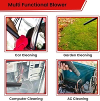 Professional Aspirator Blower Gun