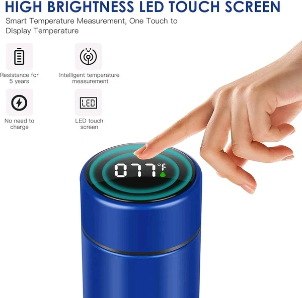 Stainless Steel Temperature Water Bottle 