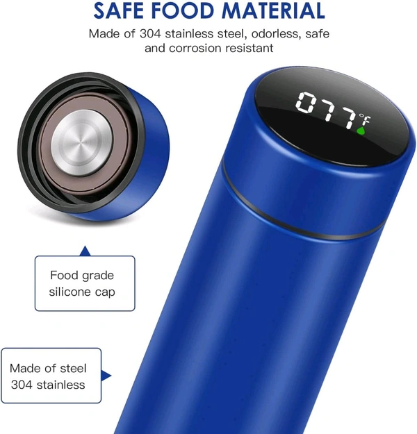 Stainless Steel Temperature Water Bottle 