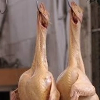 Non veg