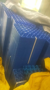 PLASTIC EGG TRAY (2ND QUALITY RECYCLED PLASTIC) - Blue