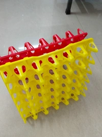 PLASTIC EGG TRAY (3RD QUALITY) - Green