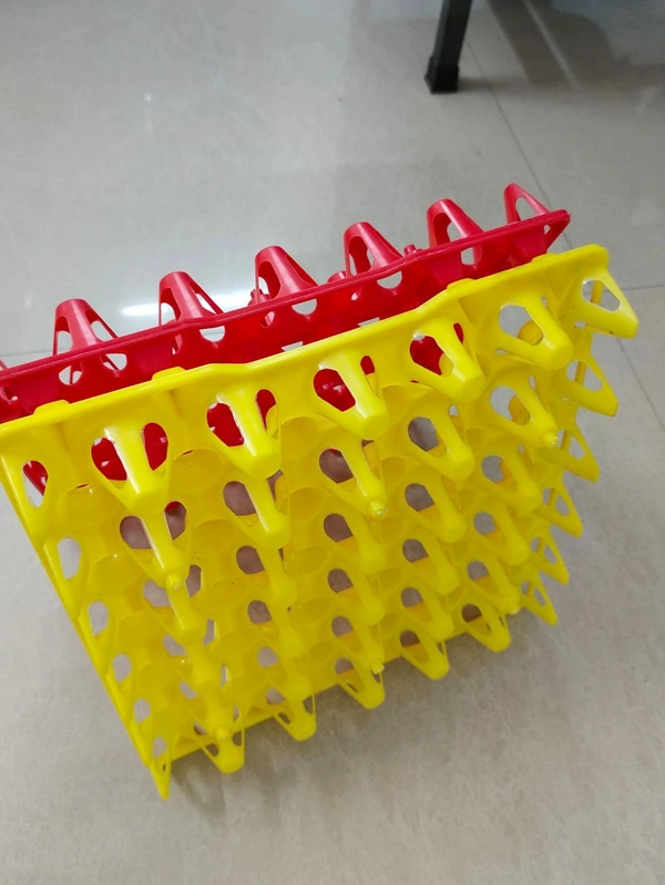 PLASTIC EGG TRAY (3RD QUALITY) - Green