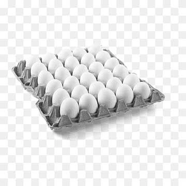 WHITE EGGS (1 Tray ) 30 Eggs 