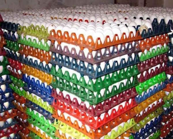 Big Eggs (Per Tray 30 Pcs ) 