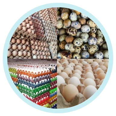 EGGS