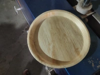 ARECA LEAF PLATES INCHES  - 12