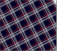 Shirt Chex 1 Multicolor