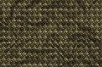 Shirt Grass Brown