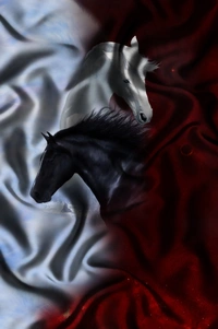Shirt Horse Multicolor