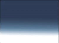 Shirt Plain Navyblue