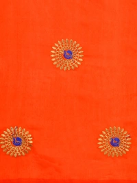 Vichitra-Orange - Free, Orange