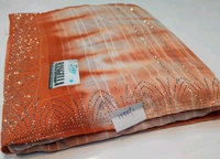 Simple Stone Work Sarees - 006