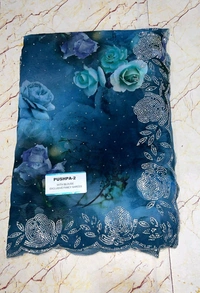 Simple Stone Work Sarees - 021