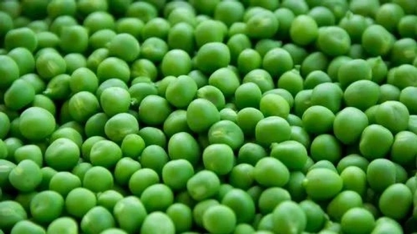 Green Valley Matar Loose  (500g) - 500 Gm, 1 Poly pack