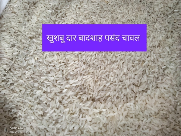 Khusboodar Badshah Pasand Rice ( खुशबू दार चावल1 Kg)  - 1 Kg
