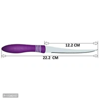 Kitchen Knife, Stainless Steel Multipurpose Table Knife for Dining and Vegetable Chopping, Serrated Edge, 12 cm, Purple (Pack of 2) 1134157