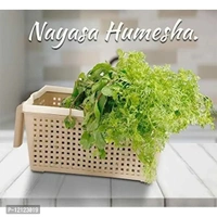 NAYASA SH Appliance Frill no 1 Basket for Fruit/vagitable/Stationary/Storage Basket & Container Small(Chocolate & Beige) (Set of 2)(Plastic) 12123019
