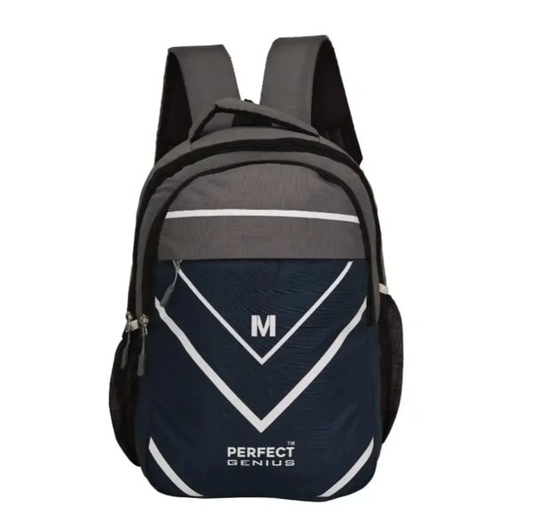 Back pack,college bag school bag, office bag for Unisex. 8176747