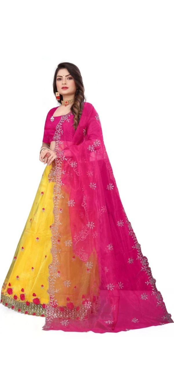 Attractive Net Embroidered Semi Stitched Lehenga Choli for Women 12109165