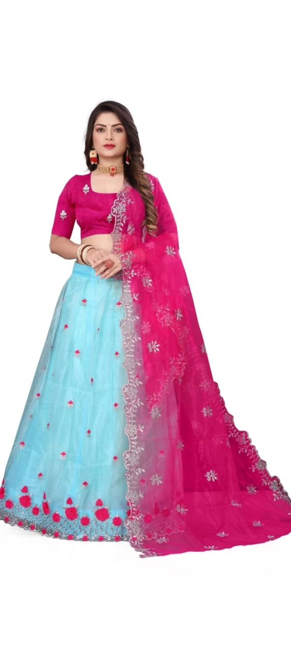 Attractive Net Embroidered Semi Stitched Lehenga Choli for Women 12109166