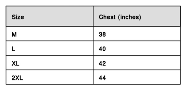 Men Multicoloured Polyester Blend Slim Fit Polos T-Shirt (Pack of 2)