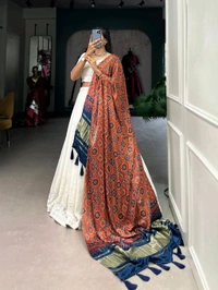Antique Fashion 1 Experience timeless elegance with this beautiful lucknowi paper mirror work lehenga  - Designe 1
