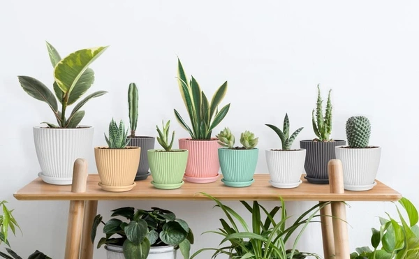 Plastic Round Flower Pots for Home Planters, Terrace, Garden Etc | Pack of 05 | Multicolor | 
