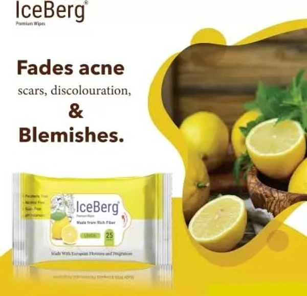 Icebergs Wet Wipes with Extra Moisturizers - Pack of 25