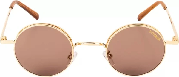 UV Protection Round Sunglasses (45)  (For Men & Women, Brown) fk