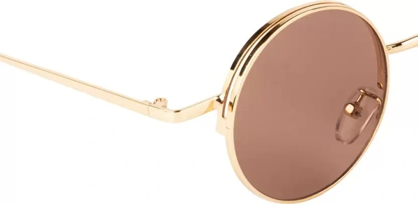 UV Protection Round Sunglasses (45)  (For Men & Women, Brown) fk