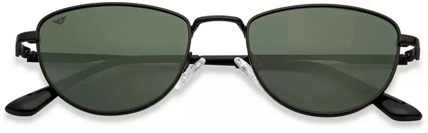 UV Protection, Polarized Cat-eye Sunglasses (51)  (For Women, Green) fk