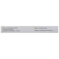 Amlong 2.5 Tablet
