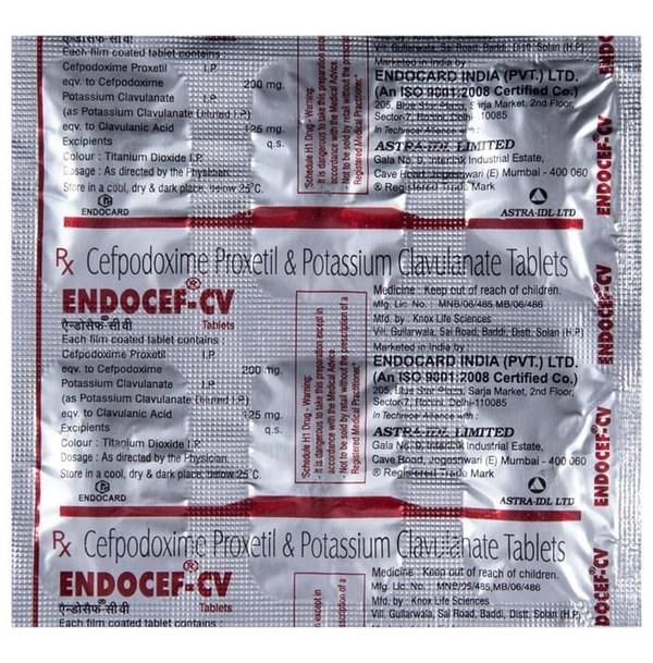 Endocef-CV Tablet