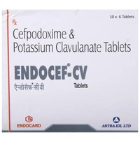 Endocef-CV Tablet