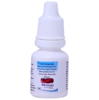Mulcer Mouth Paint