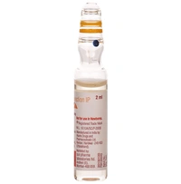 Susten 200 Injection