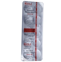 Telimes-AM Tablet