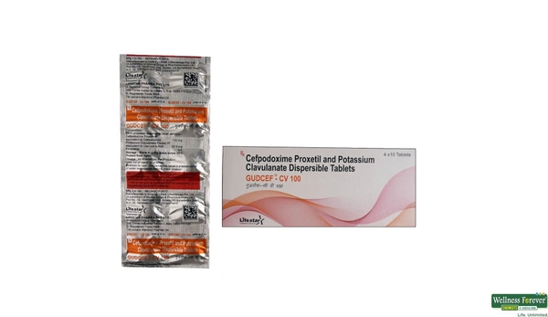 MANKIND PHARMA Gudcef Cv 100 Tab