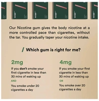 Wiser Men Kick Quit Smoking Kit