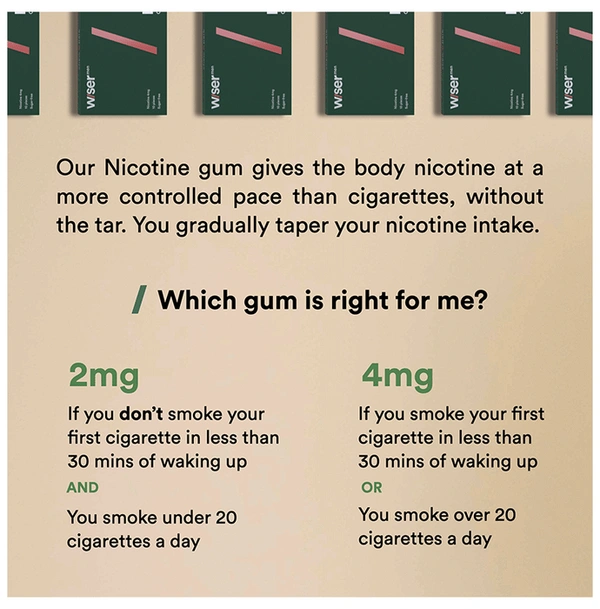 Wiser Men Kick Quit Smoking Kit
