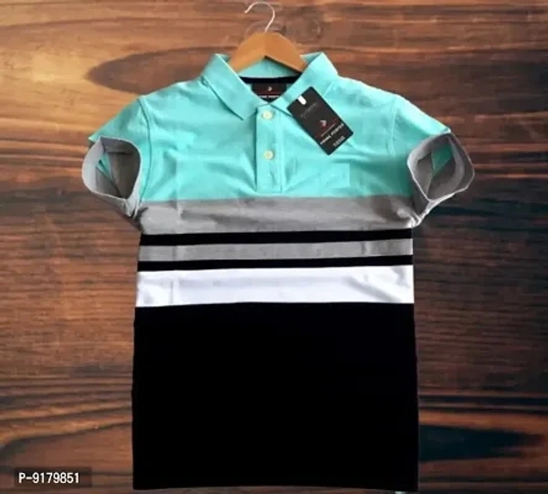 Cotton Polo Tshirt  - M
