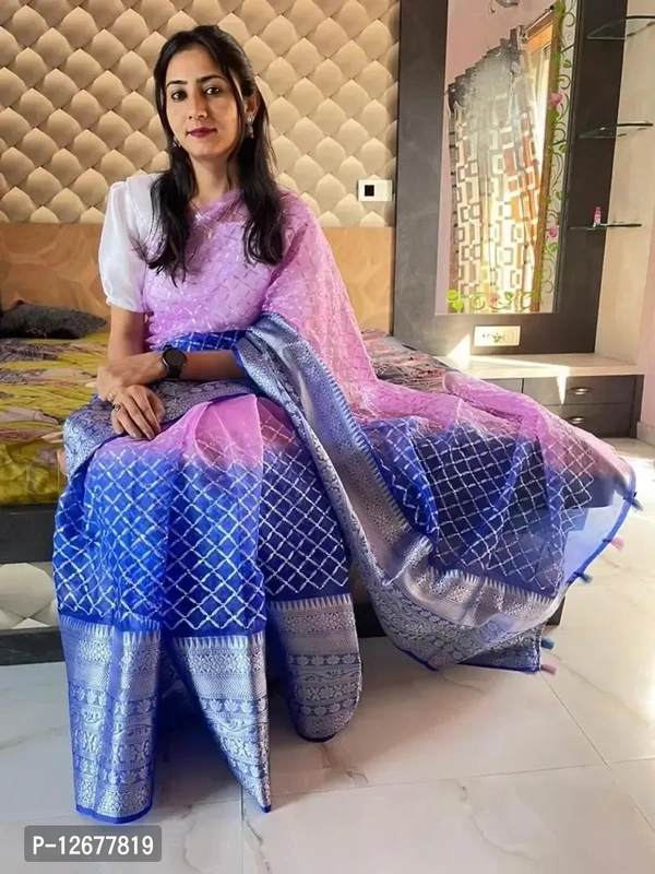 Organza Embroidered Saree With Blouse Piece 